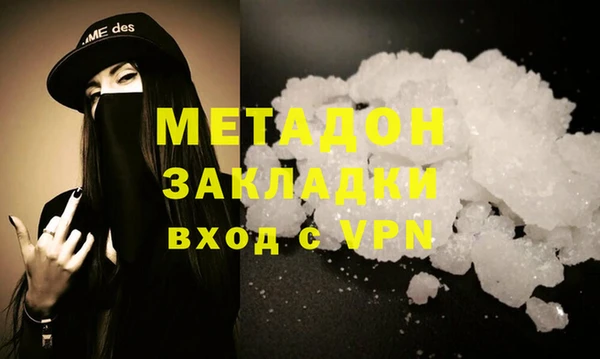 гидра Елизово