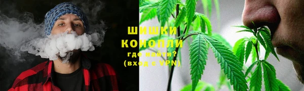 стафф Заводоуковск