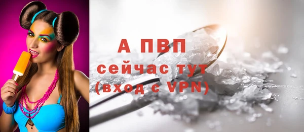 стафф Заводоуковск