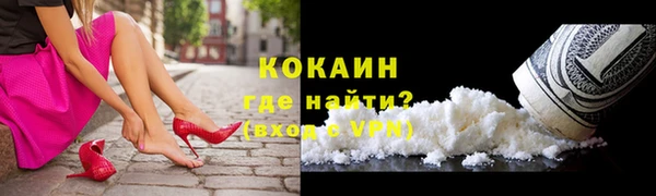 шишки Заволжье