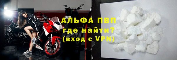 шишки Заволжье