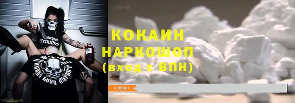 стафф Заводоуковск