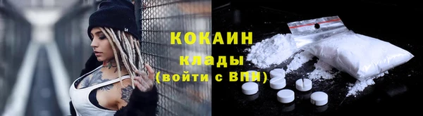 шишки Заволжье