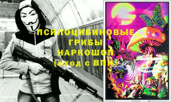 шишки Заволжье