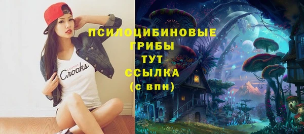 стафф Заводоуковск
