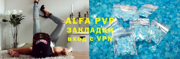стафф Заводоуковск