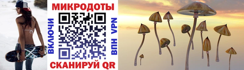 OMG ТОР  Ялуторовск  Псилоцибиновые грибы MAGIC MUSHROOMS 